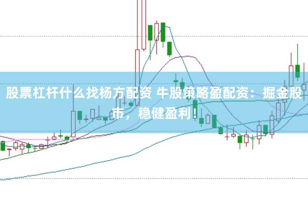 股票杠杆什么找杨方配资 牛股策略盈配资：掘金股市，稳健盈利！