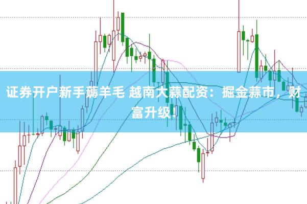 证券开户新手薅羊毛 越南大蒜配资：掘金蒜市，财富升级！