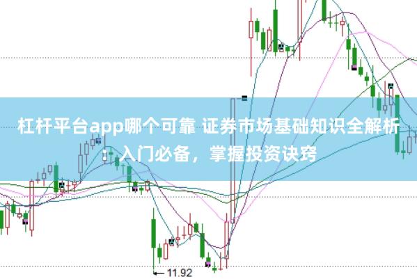 杠杆平台app哪个可靠 证券市场基础知识全解析：入门必备，掌握投资诀窍