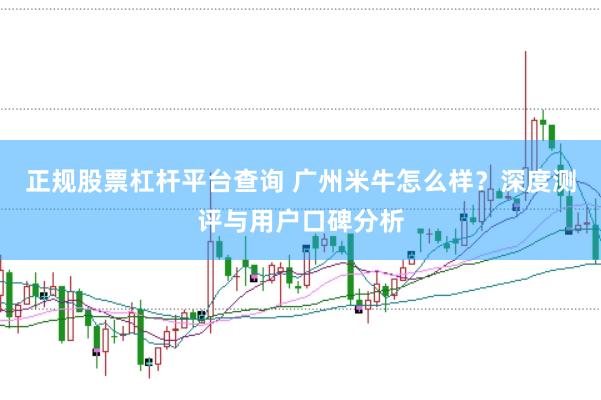 正规股票杠杆平台查询 广州米牛怎么样？深度测评与用户口碑分析