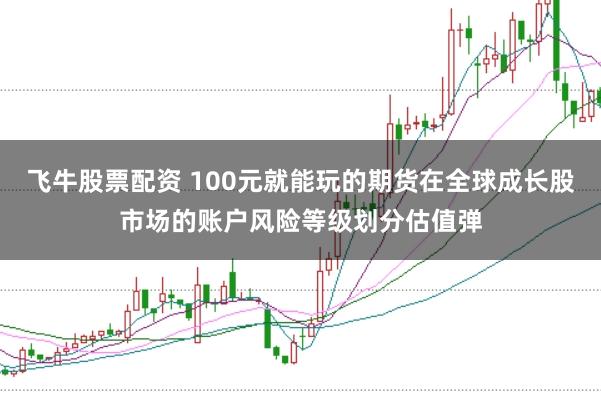飞牛股票配资 100元就能玩的期货在全球成长股市场的账户风险等级划分估值弹