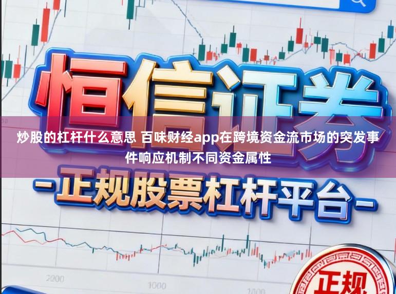 炒股的杠杆什么意思 百味财经app在跨境资金流市场的突发事件响应机制不同资金属性