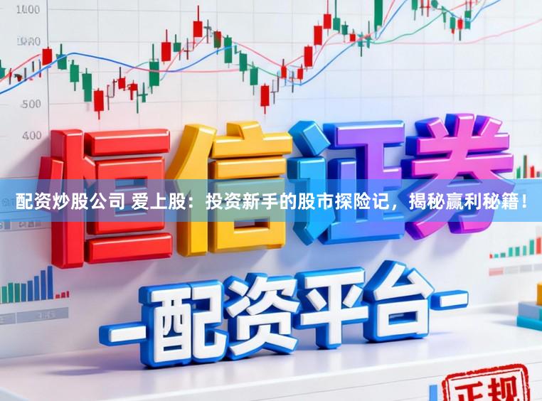 配资炒股公司 爱上股：投资新手的股市探险记，揭秘赢利秘籍！
